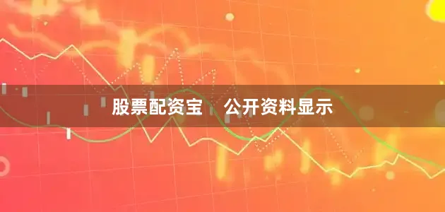 股票配资宝    公开资料显示